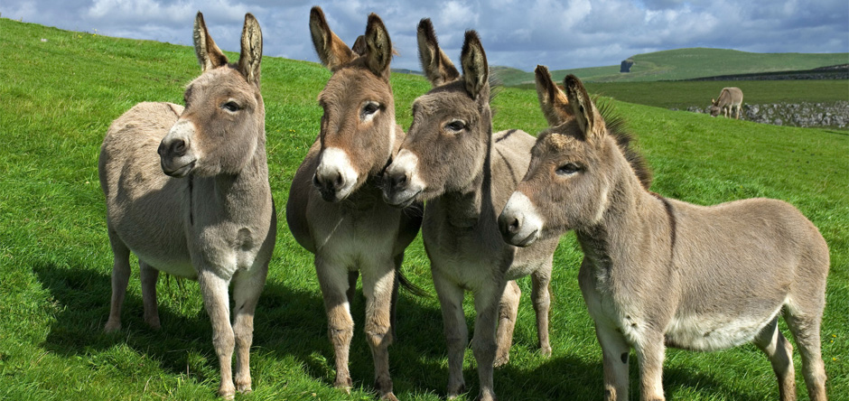 boutique hotel marrakech